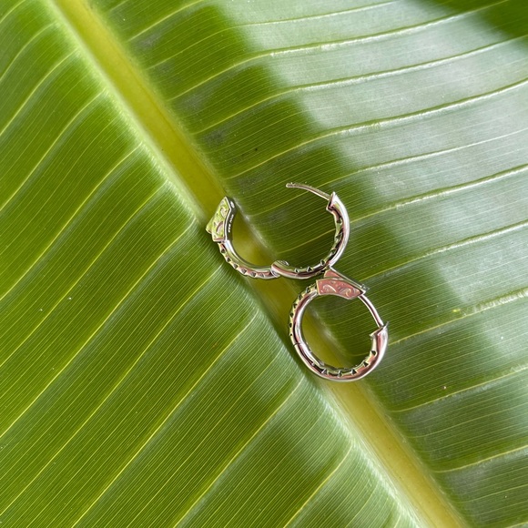 Polished 20mm Sm Hoop Earrings - Picture 6 of 11